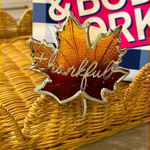 New for 2022 autumn wallflowers plug from Bath and Body Works